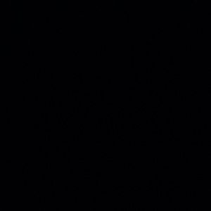 Meet your Posher, Bridger